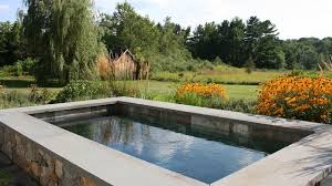 Plunge pools are one of the hottest pool trends. Two Pools In One A Plunge Pool Does Double Duty Soake Pools