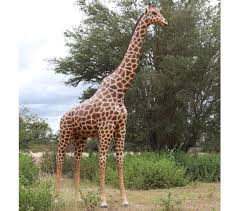 Life Size Giraffe 18ft Knock Down