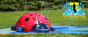 large ladybug water play feature by my