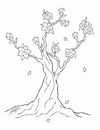 We found for you 15 pictures from the collection of cherry! Cherry Blossom Coloring Pages