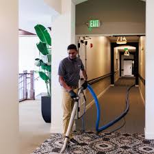 carpet cleaning in carver county mn