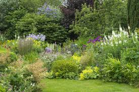 15 best english garden ideas how to