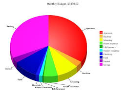 Yoga Instructor Miami Florida Monthly Budget Pie Chart