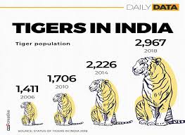 India Home To 2 967 Tigers Says Census Revealed On Global