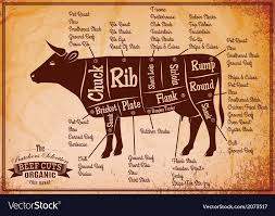 Poster With Detailed Diagram Cutting Cows