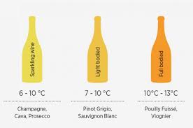 White Wine Temperature How Cold Should It Be Decanter