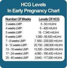 Hcg Levels Babycenter