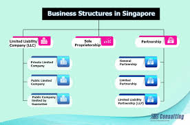 Types Of Business Structures In Singapore