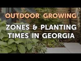 zones planting times in georgia you