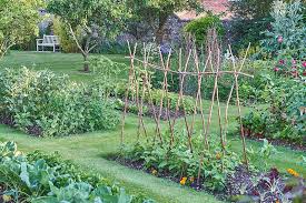 Layout For Your Vegetable Garden