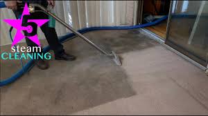 steam carpet cleaning we never say no