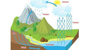 Evaporasi adalah suatu proses berubahnya air menjadi uap air dari perairan terbuka, tanah dan batuan lainnya. Evaporasi Adalah Contohnya Transpirasi Evaporasi Infiltrasi Adveksi Sublimasi Run Off Perkolasi Dan Kondensasi