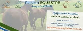 Passion Equestre