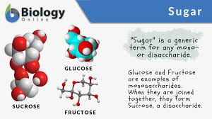 sugar definition and exles