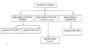Agriculture Namakkal District Government Of Tamilnadu