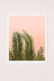 palm tree art print urban outfitters