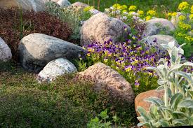 How To Build A Rockery Step By Step