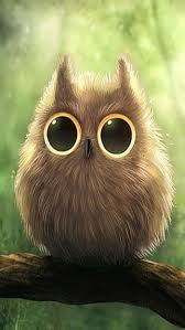 cute owl for iphone hd wallpapers pxfuel