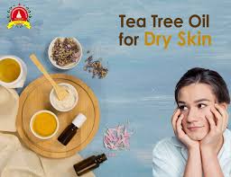 dry skin tea tree essential oil is