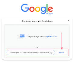 how to do a reverse image search