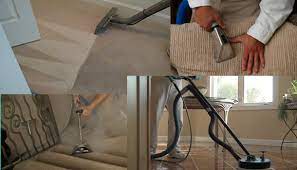 carpet cleaning ruskin fl 99 00 whole
