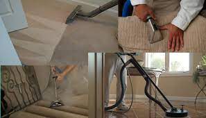 carpet cleaning pinellas park fl 99 00