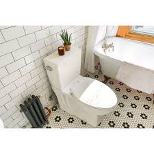 Clawfoot Tub Wall Mounted Toilet