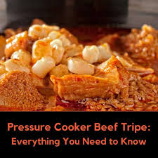 pressure cooker beef tripe everything