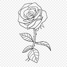 plant flower rose rose clipart black