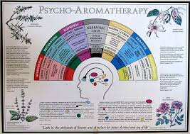 Robert Tisserand Psycho Aromatherapy Chart Tisserand S