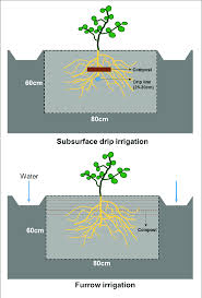 diagram of irrigation method