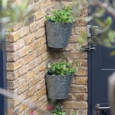 Buy Galvanised Corner Wall Planters