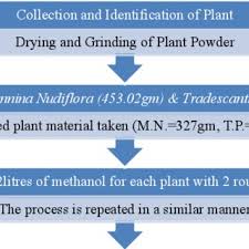 7 Flow Chart Of Process Of Extraction Solvent Evaporation