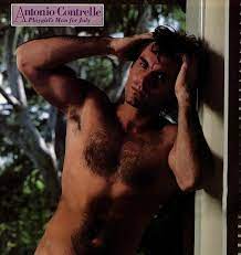 PLAYGIRL 7-81 STALLONE LIFEGUARDS D FORD HAIRY ANTONIO CONTRELLE JULY 1981  HAIRY | eBay