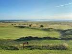 7 Things to See at Gullane Golf Club - East Lothian Golf Trips