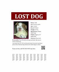 40 Lost Pet Flyers Missing Cat Dog Poster Template Archive