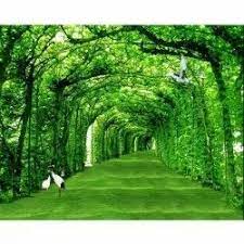 3d nature wallpaper at rs 80 square