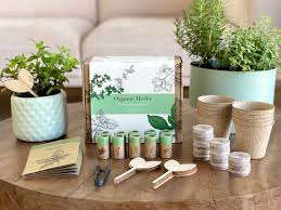 Indoor Herb Garden Starter Kit