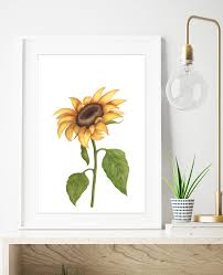 Digitalartnadi Sunflower Watercolor