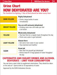 How Dehydrated Are You Tips For Staying Hydrated On The
