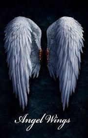angel wings angel fire series 2