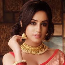 Sargun Kaur Luthra Wiki, Biography, Dob, Age, Height, Weight, Affairs and More