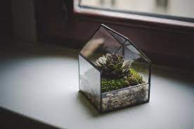 glass terrarium small house stained