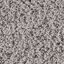 frieze wall to wall floor carpet in