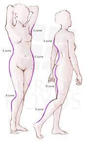 Women body parts name / man body parts name. Woman S Body Shape Total Definer By Alfredo Hoyos