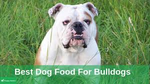Canidae life stages dog food. Best Dog Food For Bulldogs Updated 2020 For A Happier Healthier Bulldog Puppygeeks Com
