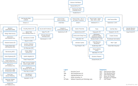 Annual Report 2009 2010 Management Structure Chart Infosys