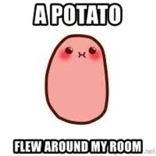 Potatoes are much more delicious.) so bree posted this vine a couple weeks ago : A Potato A Potato Flew Around My Room Know Your Meme