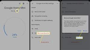 how to remove a device from google home