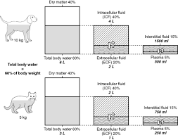 body fluids in dogs and cats